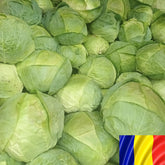 Hectarul - Seminte romanesti de varza de BUZAU, 10gr, SCDL Buzau